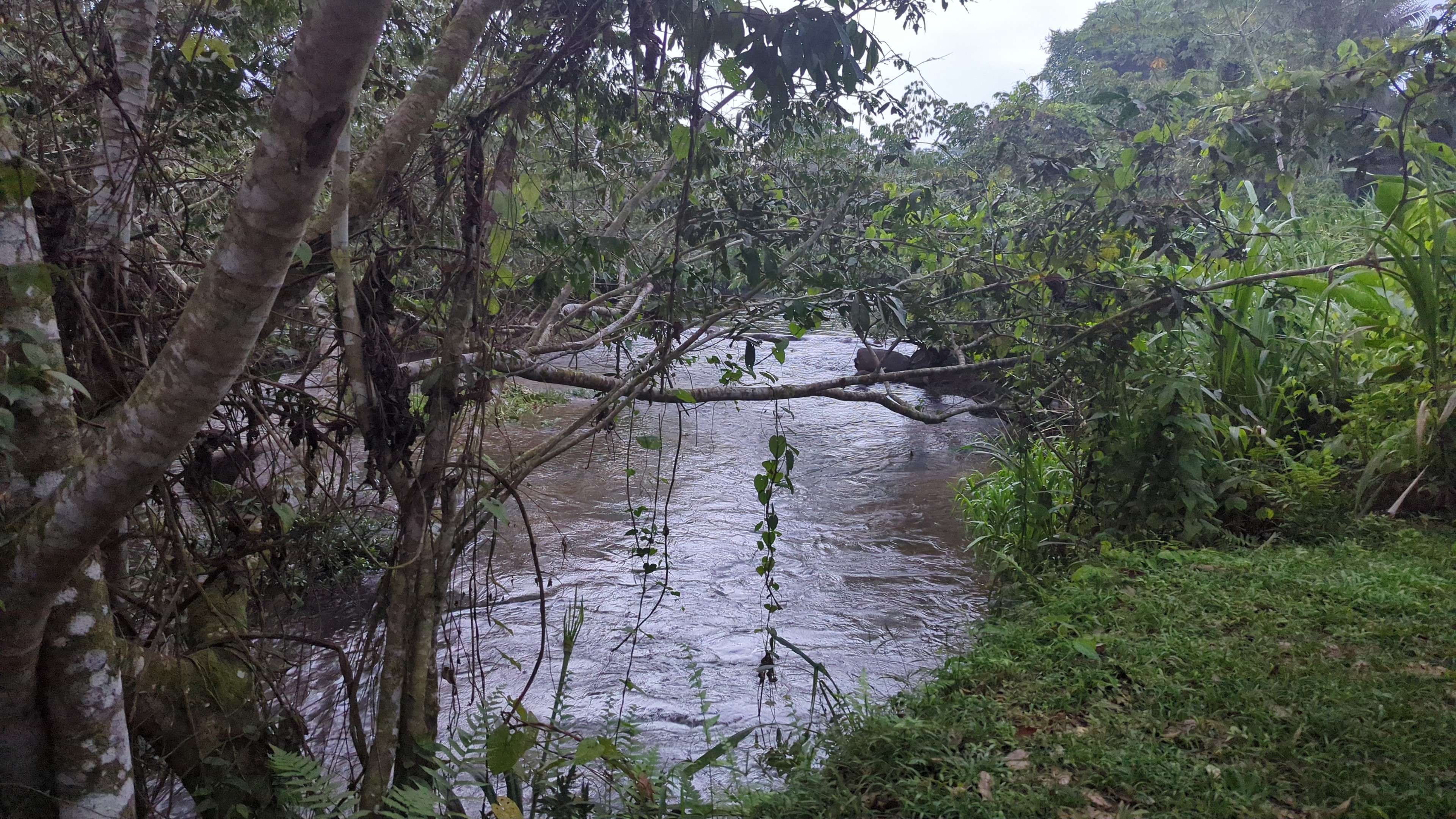 Jaguar Reserve in Belize