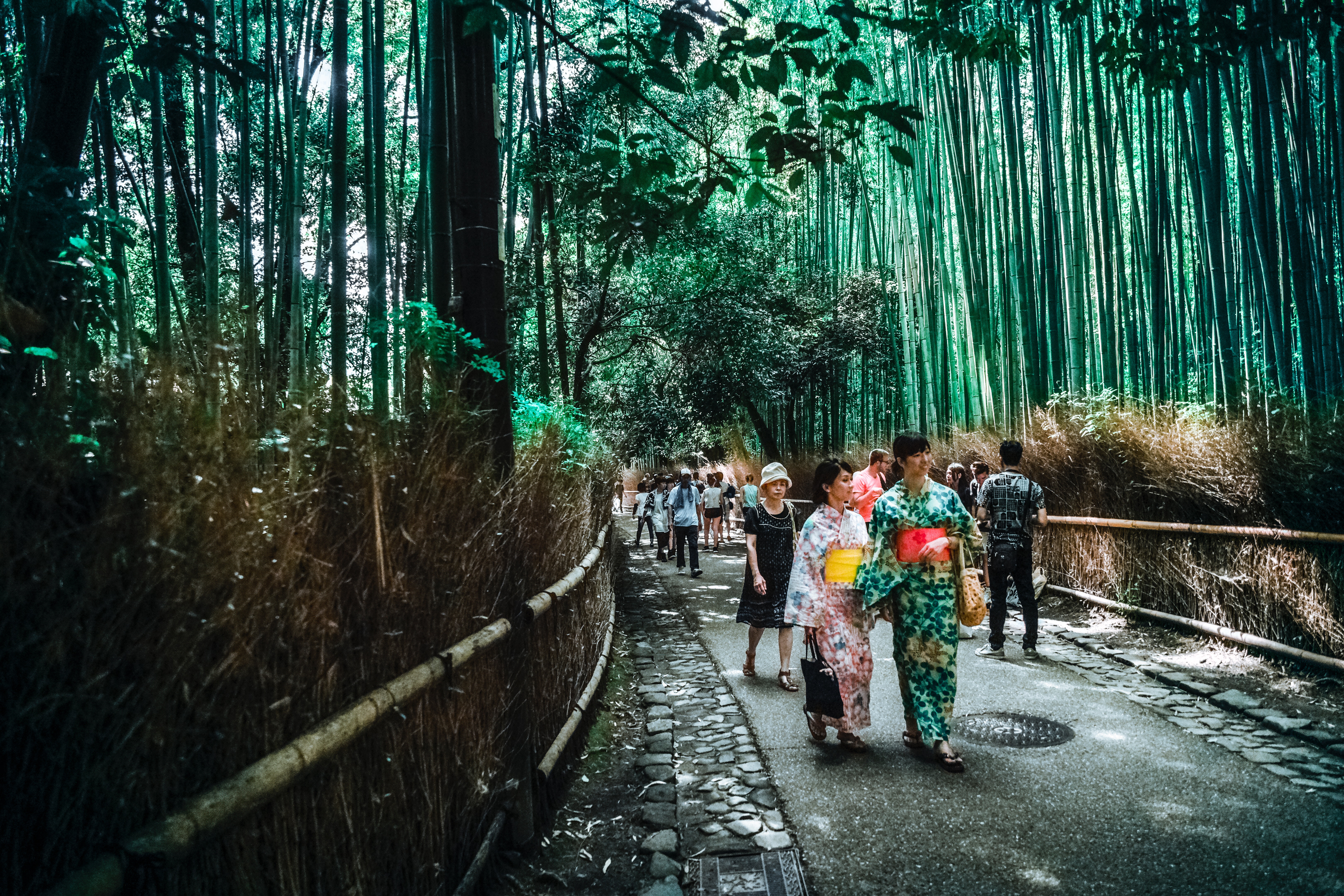 Group Travel at Bamboo Trees Bridge City in Japan