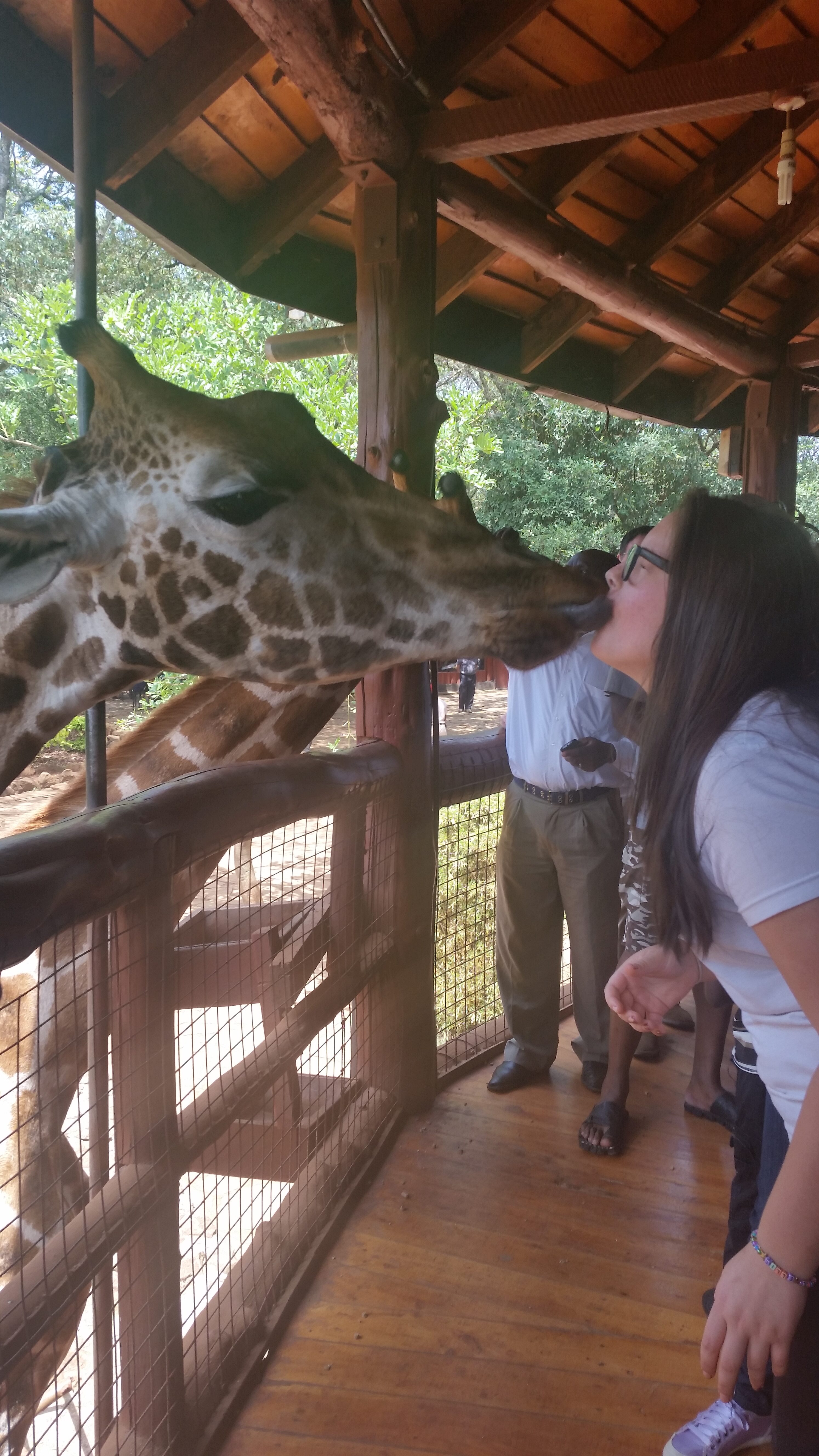 Safest Destinations in Africa for Solo Female Travelers: Top Picks for 2026 - Solo female traveler meeting a giraffe in Africa