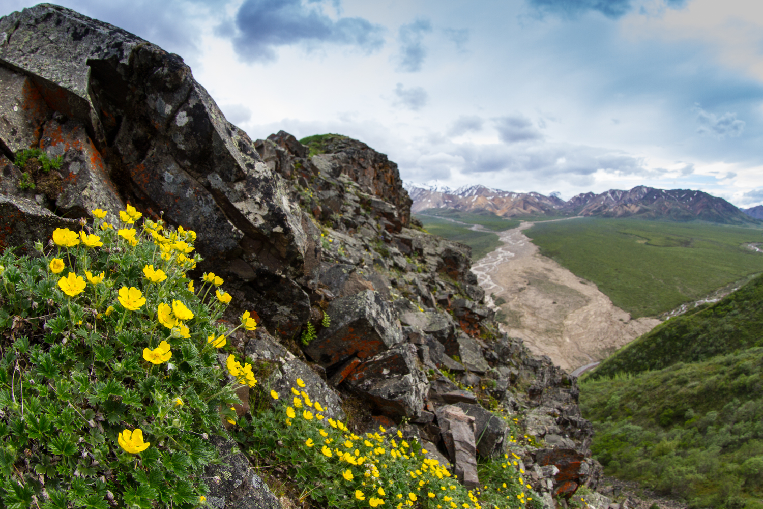 Denali National Park