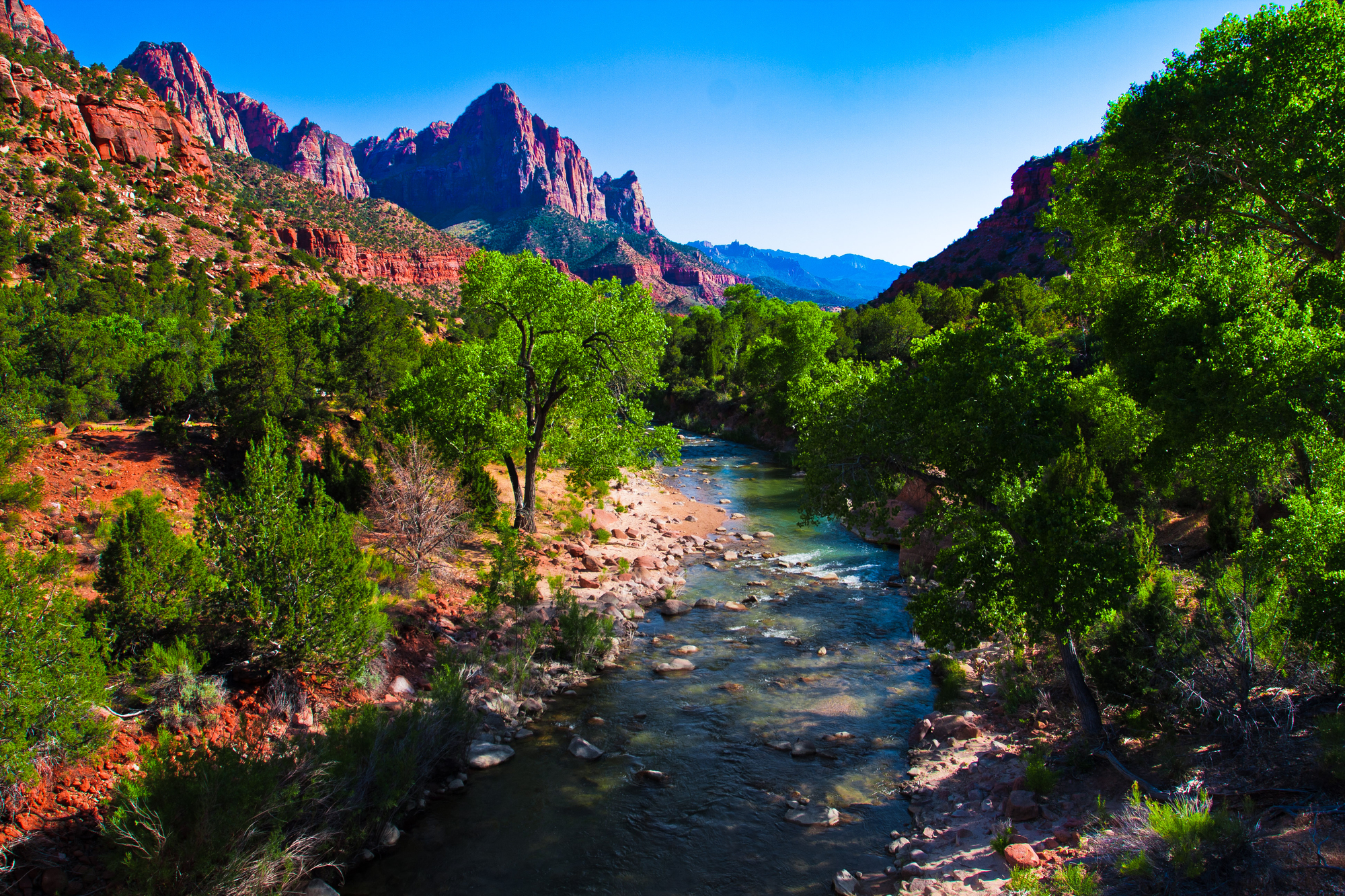 Virgin River in Zion National Park