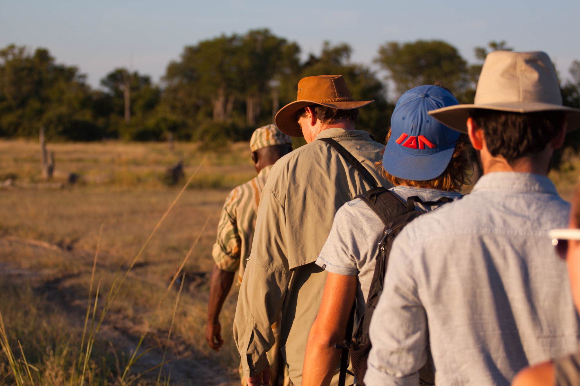 Walking Safari in Zamnia