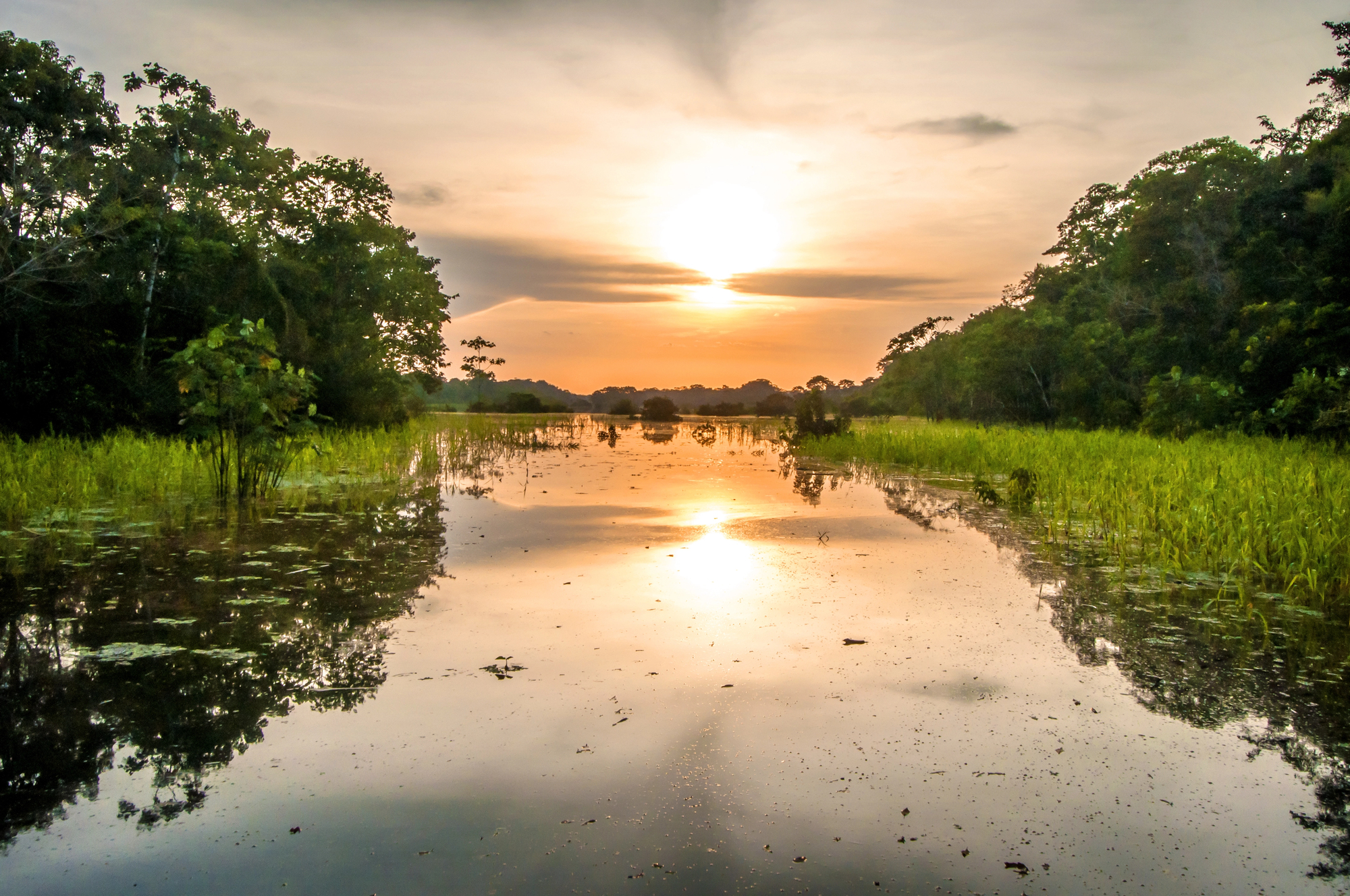 Into the Wild: Why a Luxury Amazon River Cruise Through Peru Should Be at the Top of Your Bucket List - River in the Amazon Rainforest at Sunset