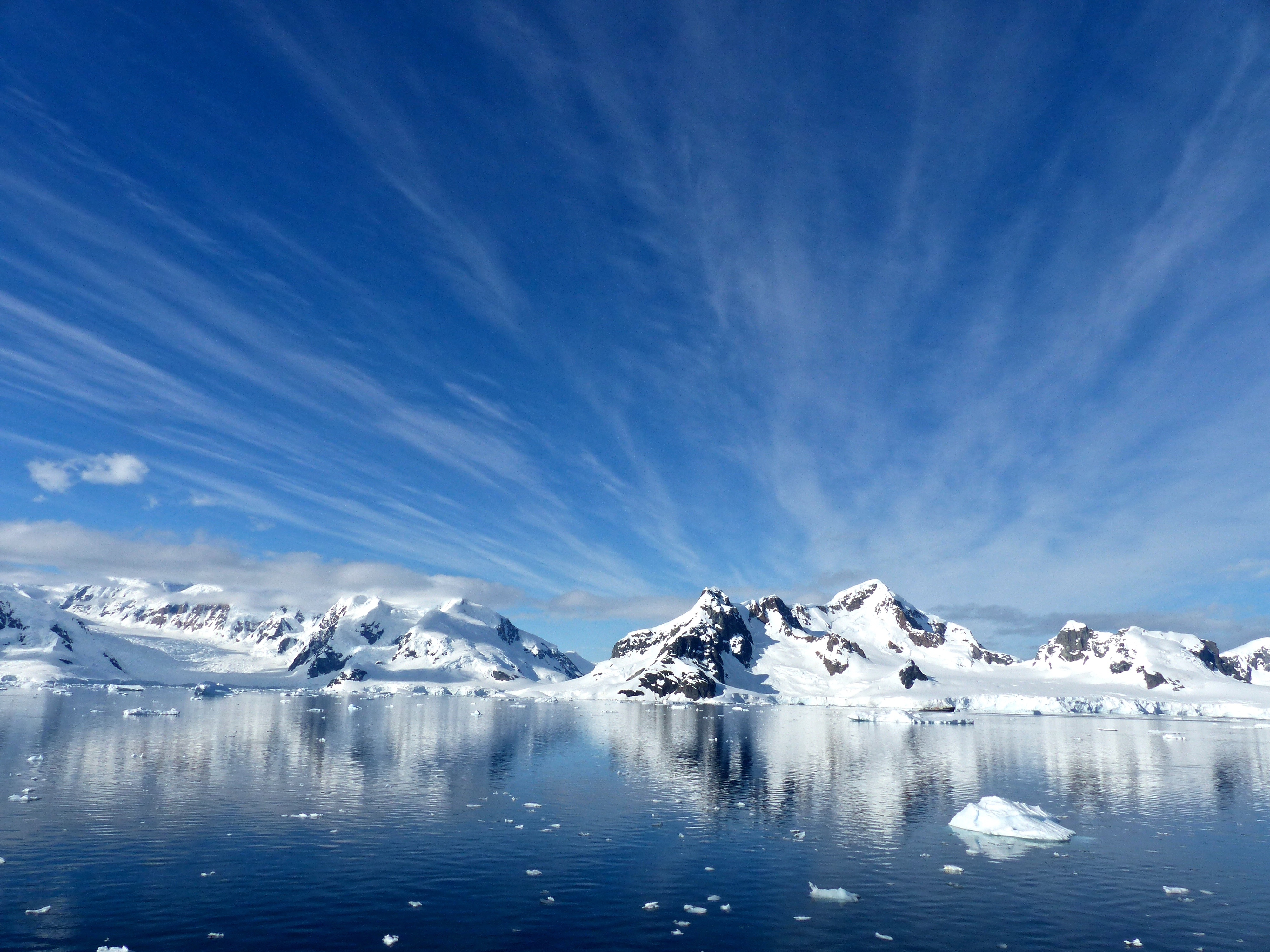 Your Antarctica Cruise Awaits: How to Plan the Most Extraordinary Trip of Your Life