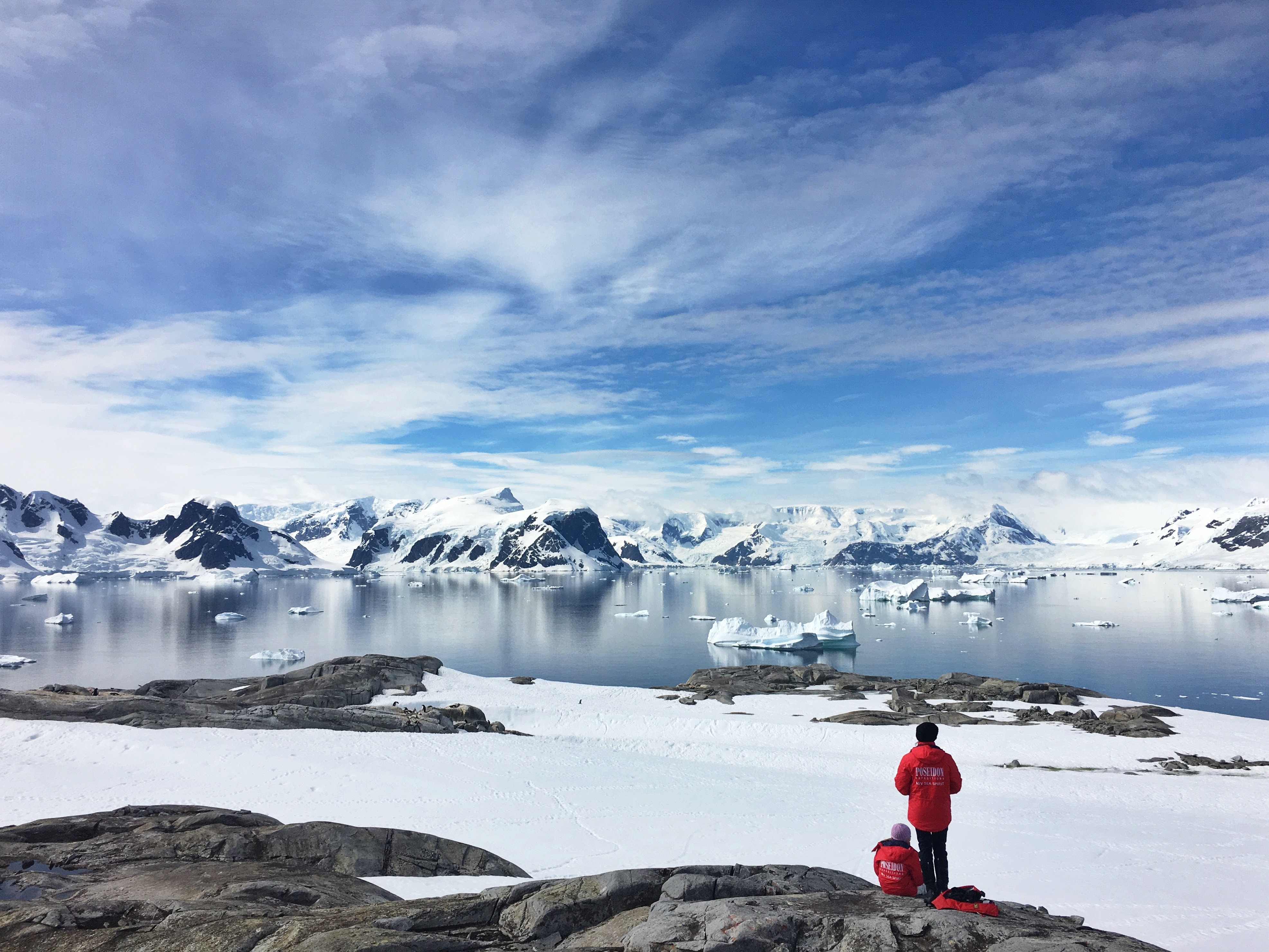 Person Standing on Land During an Antarctica Cruise