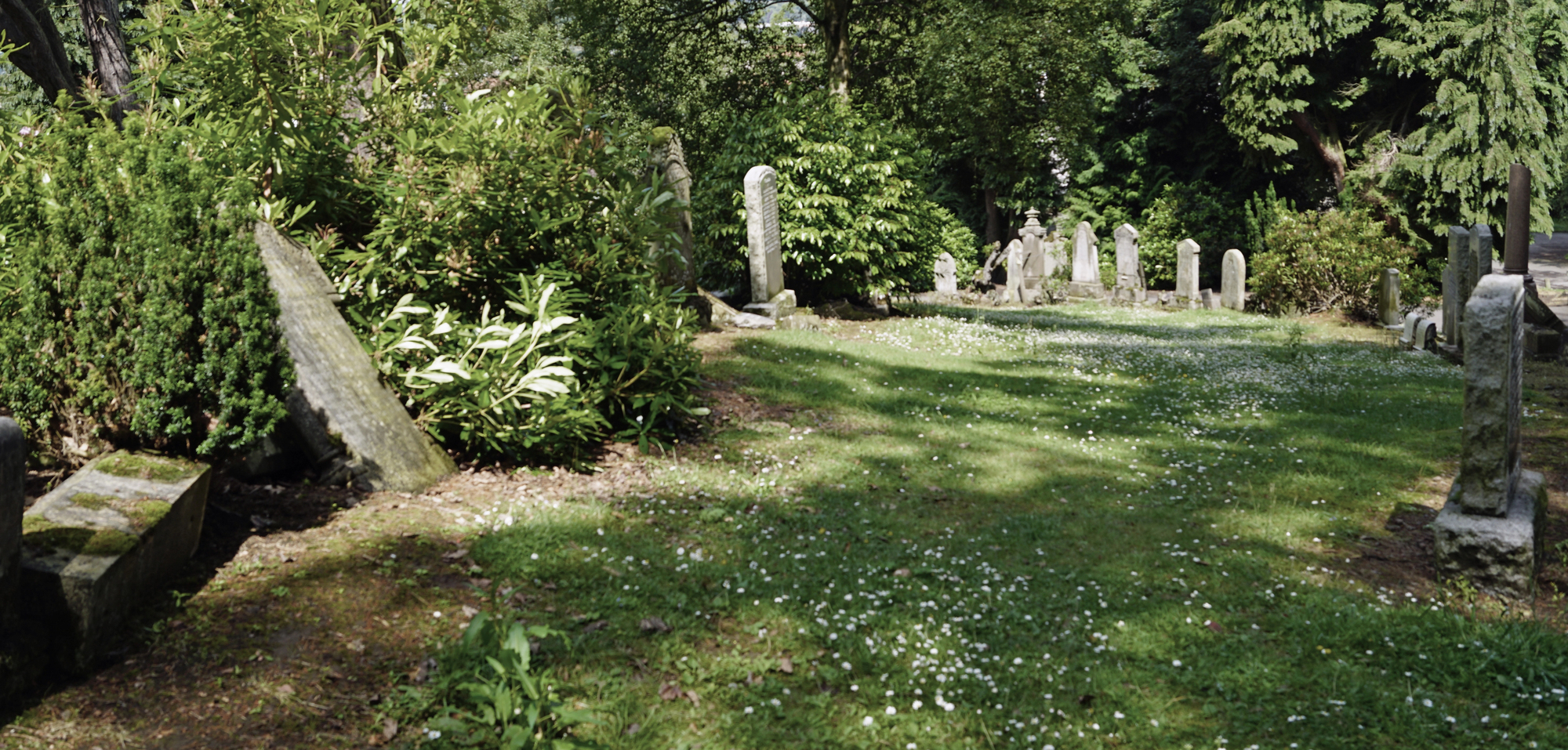 Cemetery in Dundee Ireland